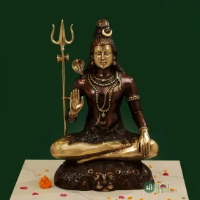 22.5" BRASS SHIVA SITTING COLOUR BRT