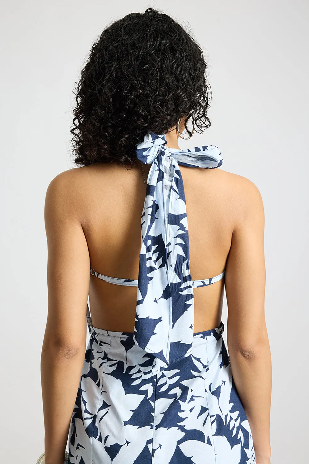 Blue Botanical Printed Poplin Dress