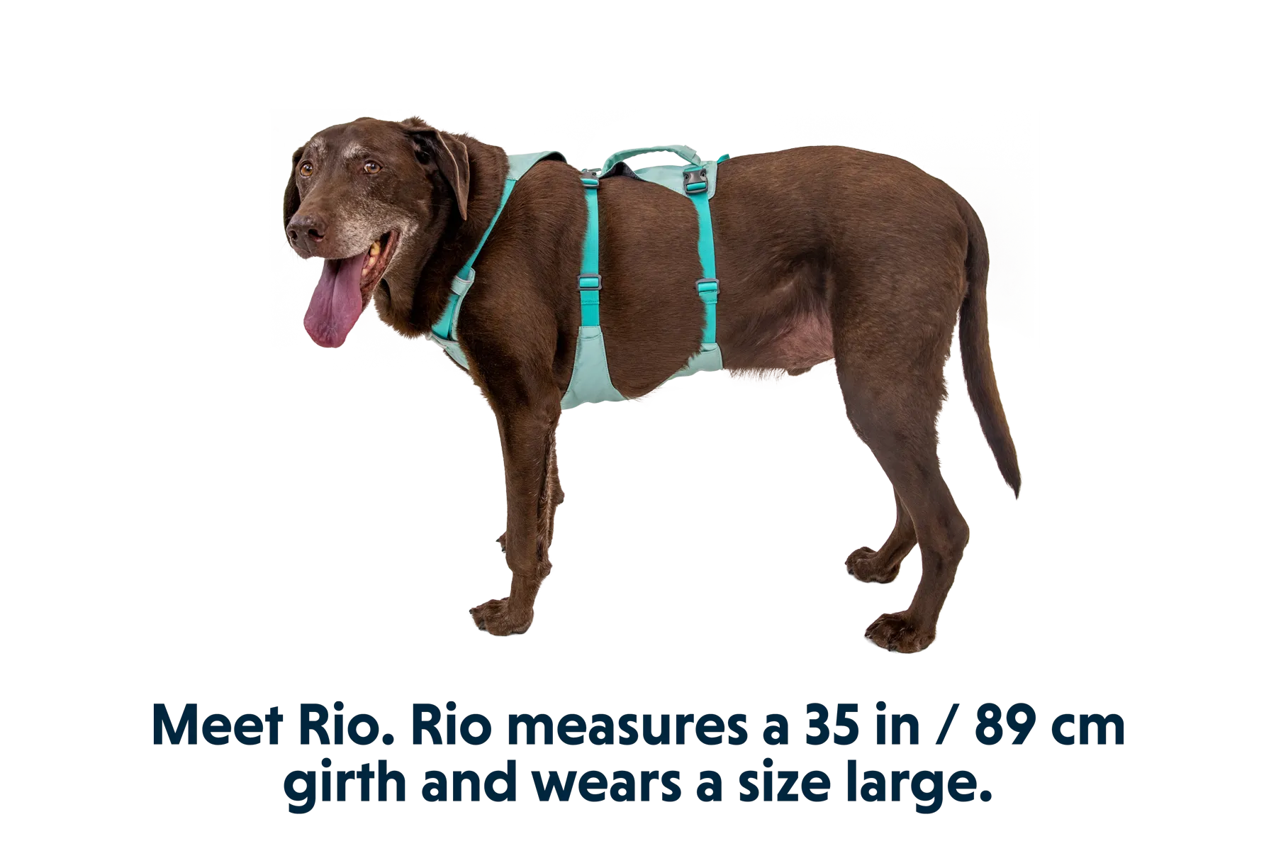 Flagline™ Dog Harness with Handle