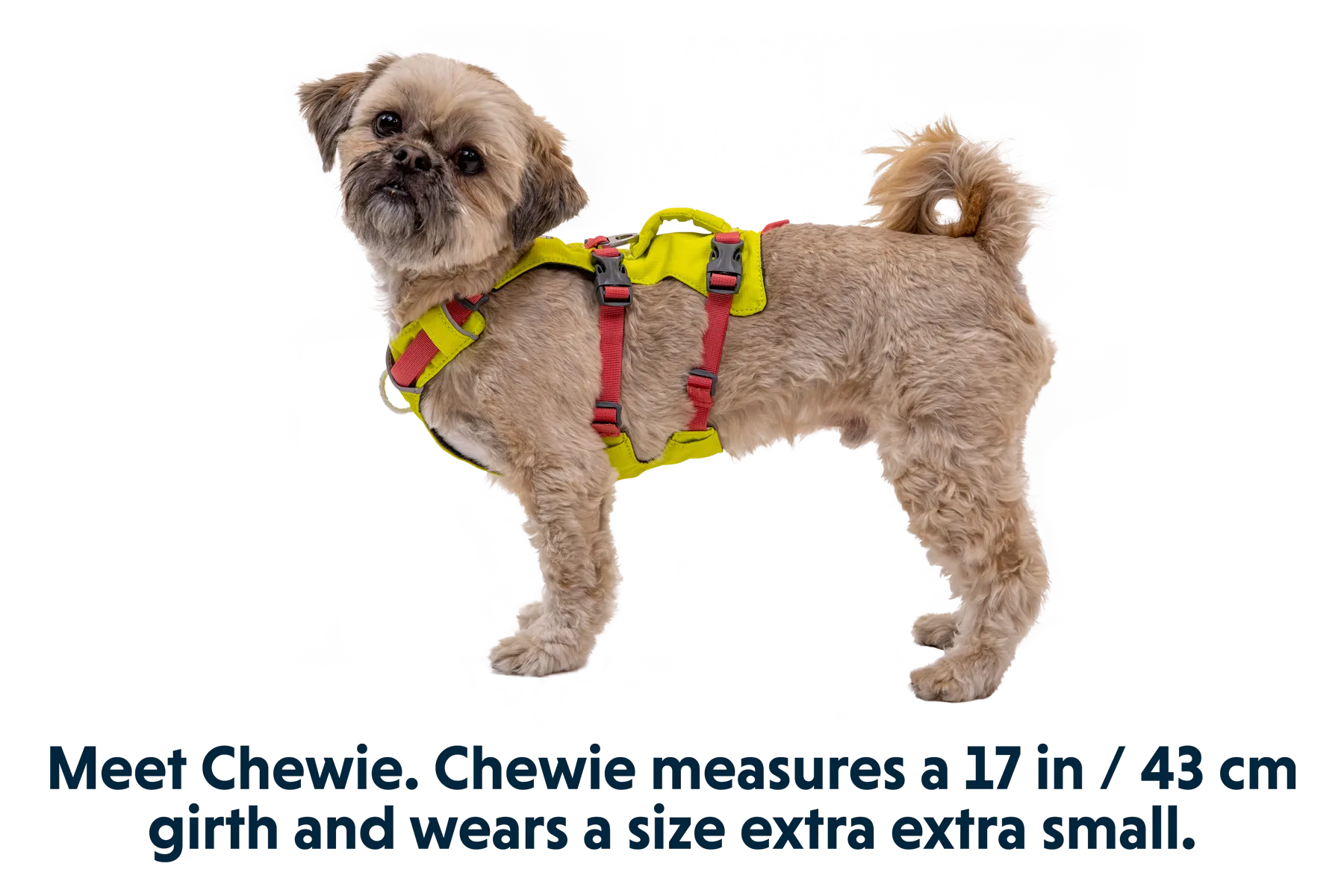 Flagline™ Dog Harness with Handle