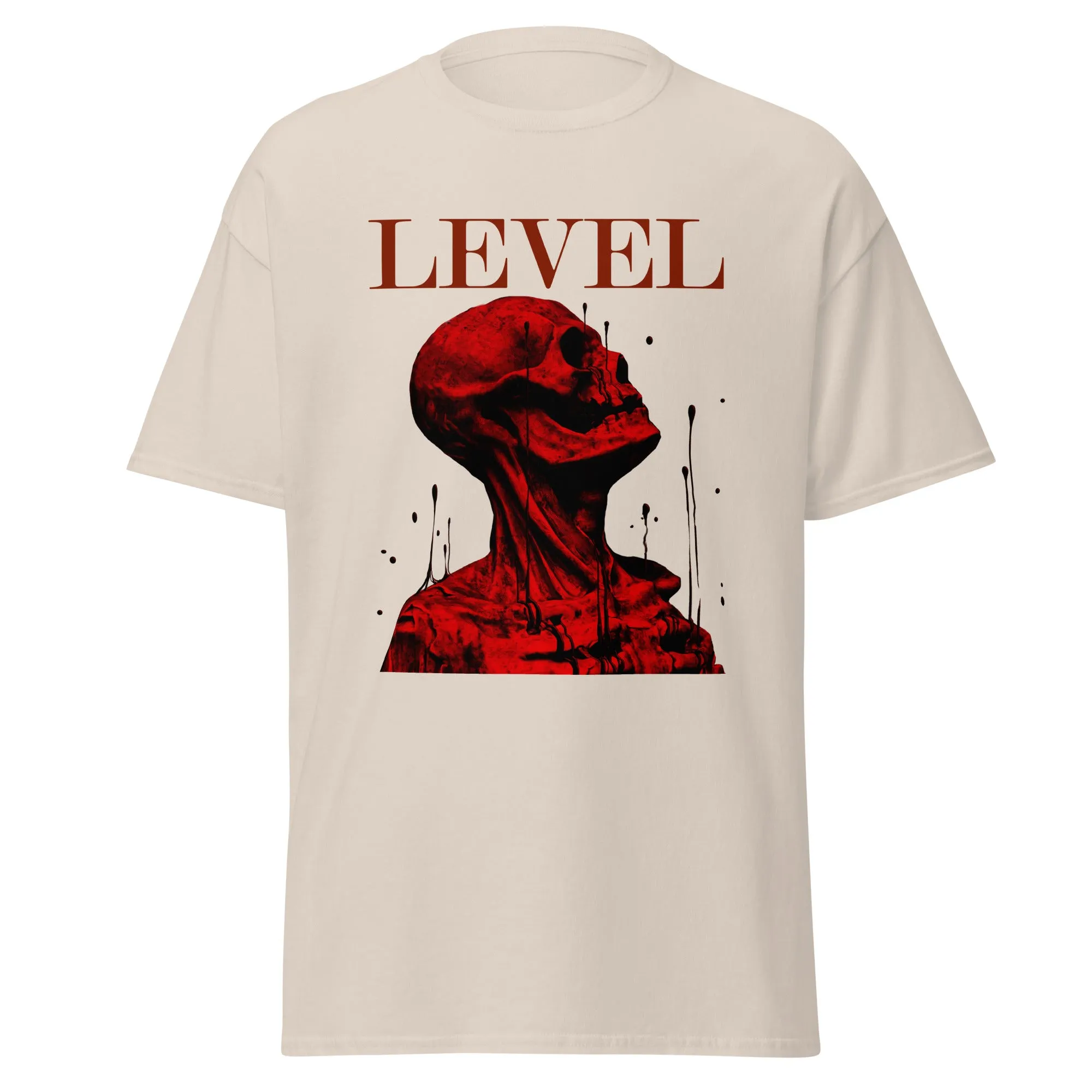 Level Men's classic tee