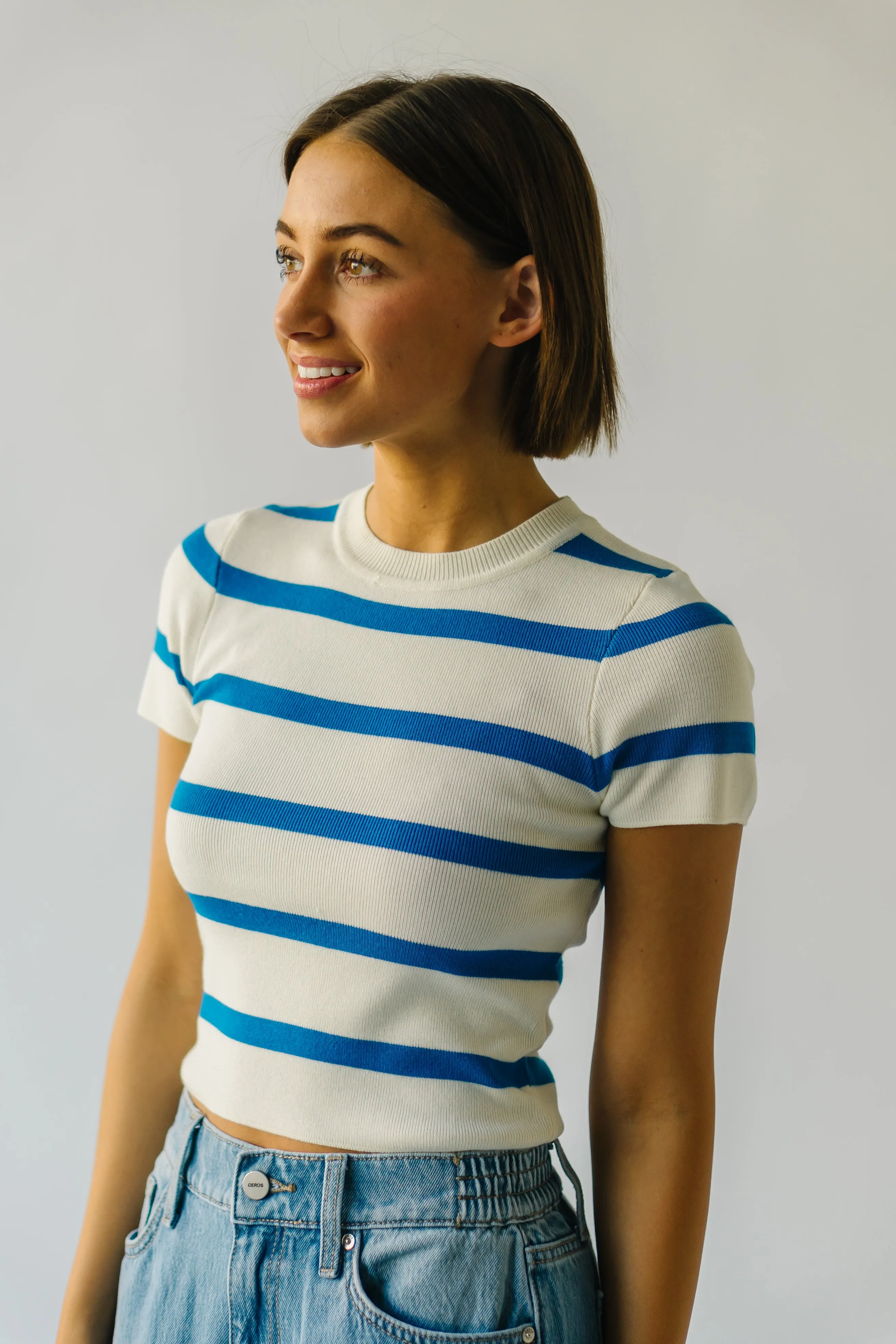 The Dundee Bold Striped Tee in Blue   White