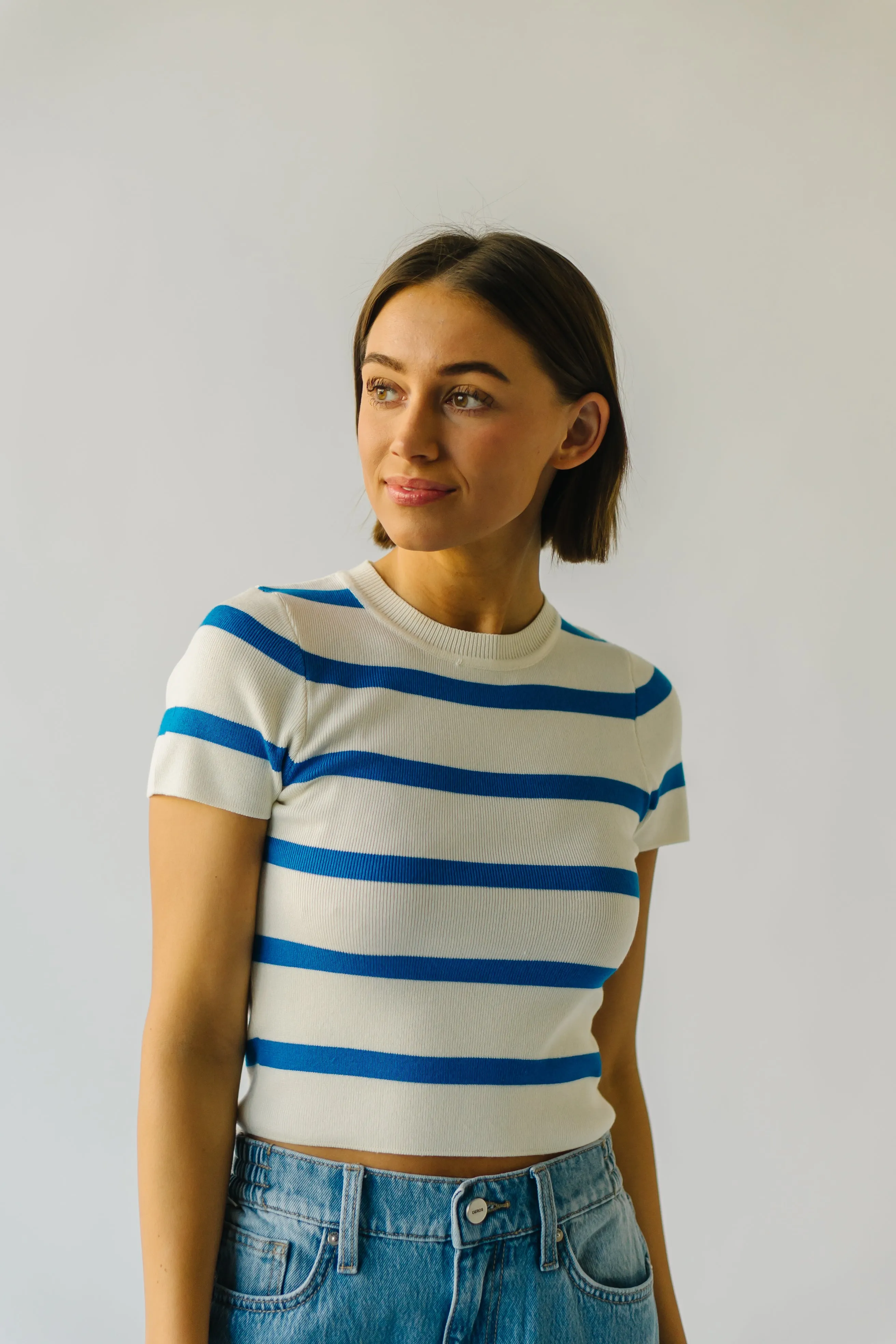 The Dundee Bold Striped Tee in Blue   White