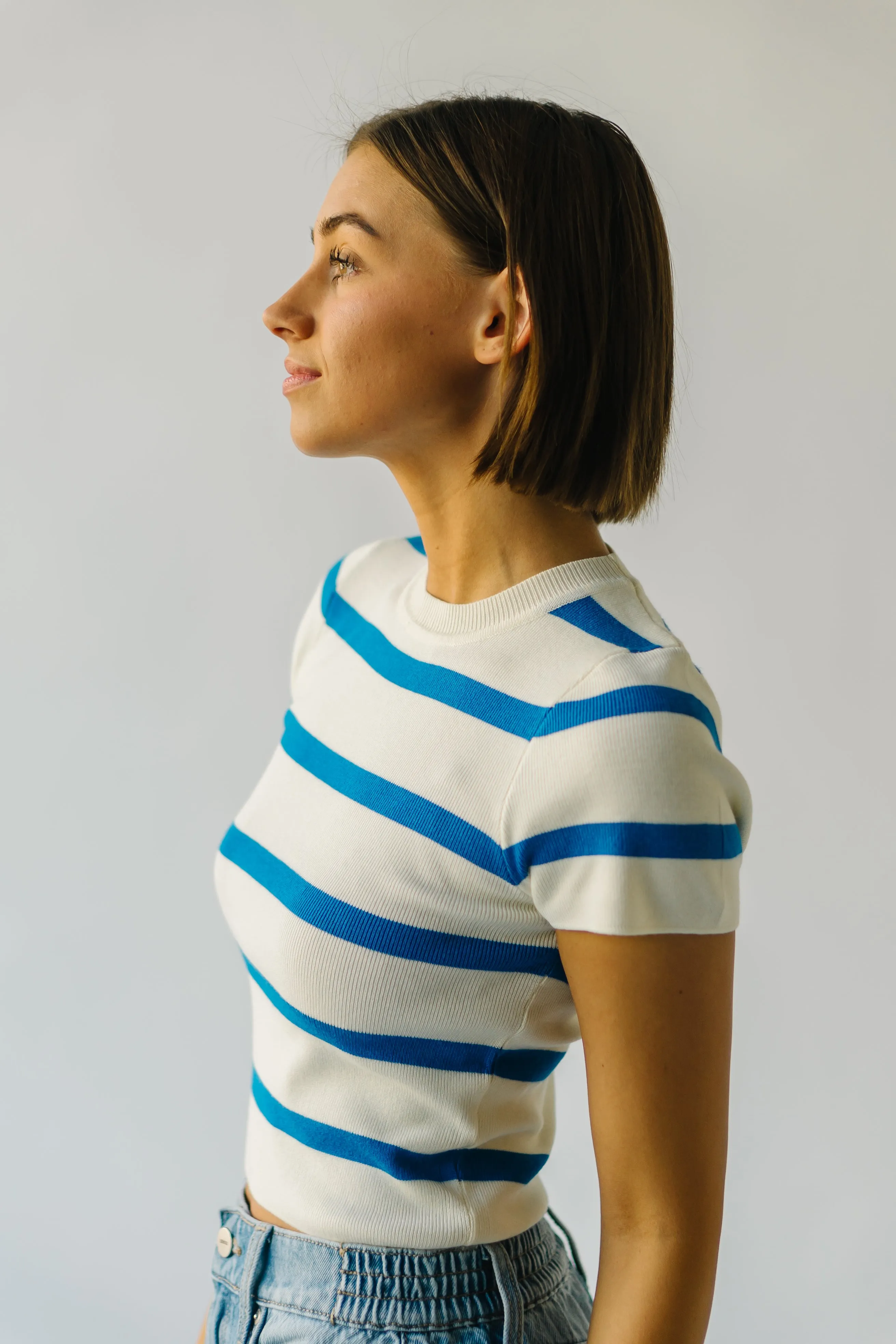 The Dundee Bold Striped Tee in Blue   White