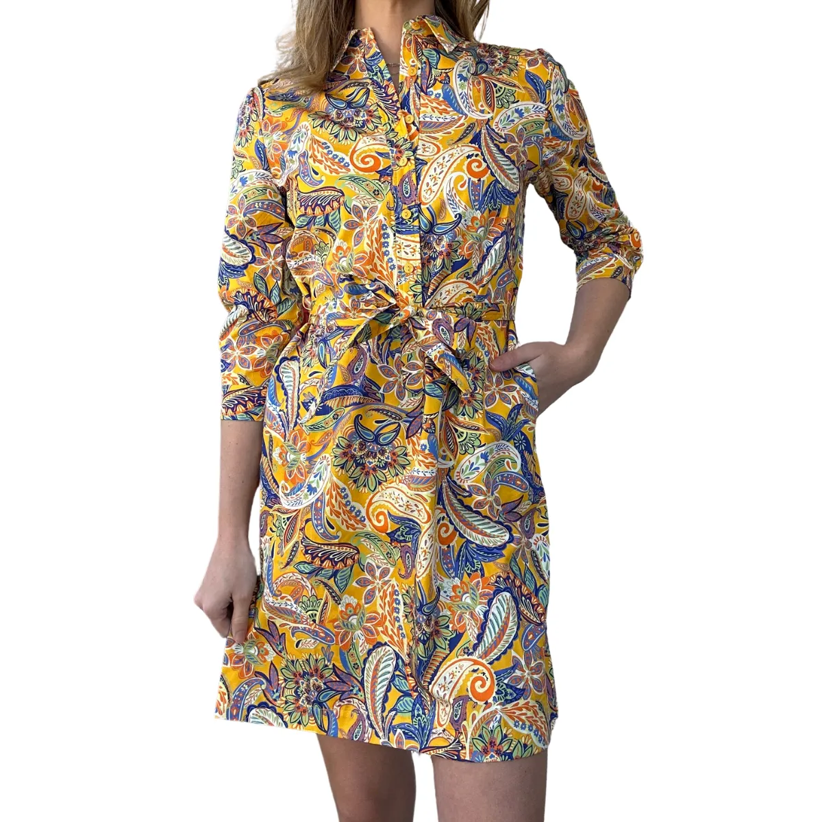 Tyler Boe Ziva Paisley Shirtdress - Multi